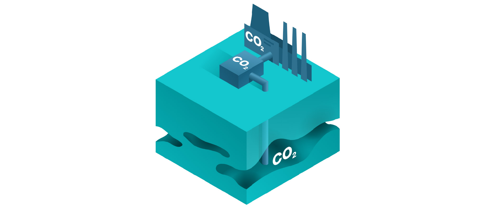 Carbon Storage